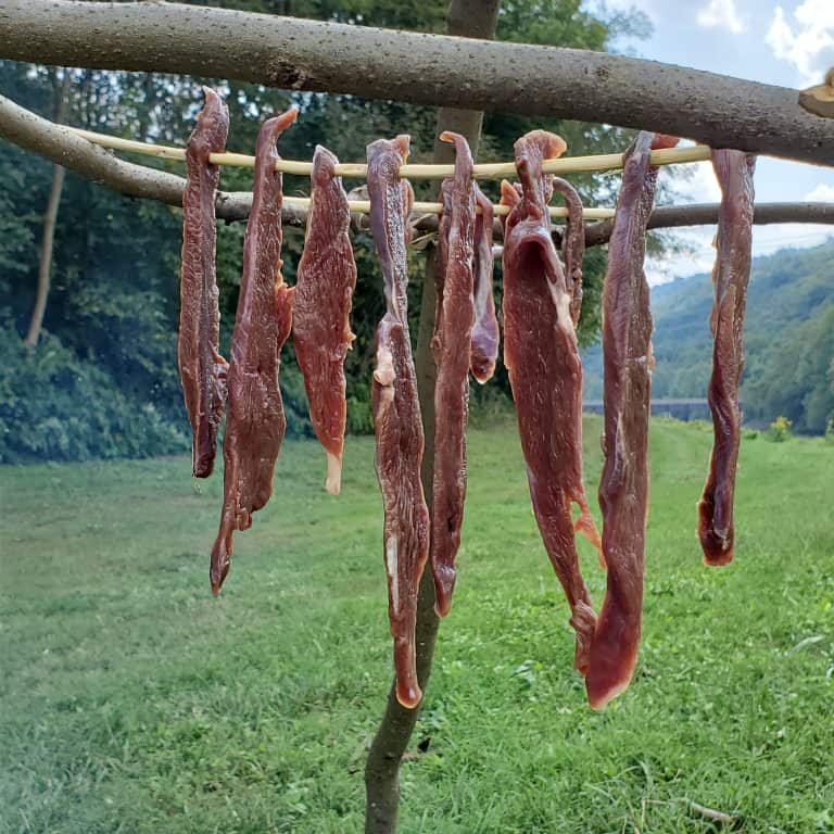 Primitive Campfire Smoker DIY - How to Smoke Meat In the Wild - Outdoor ...