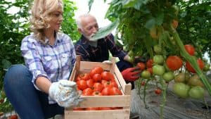 edible-backyard-summit-free-vegetable-garden-course