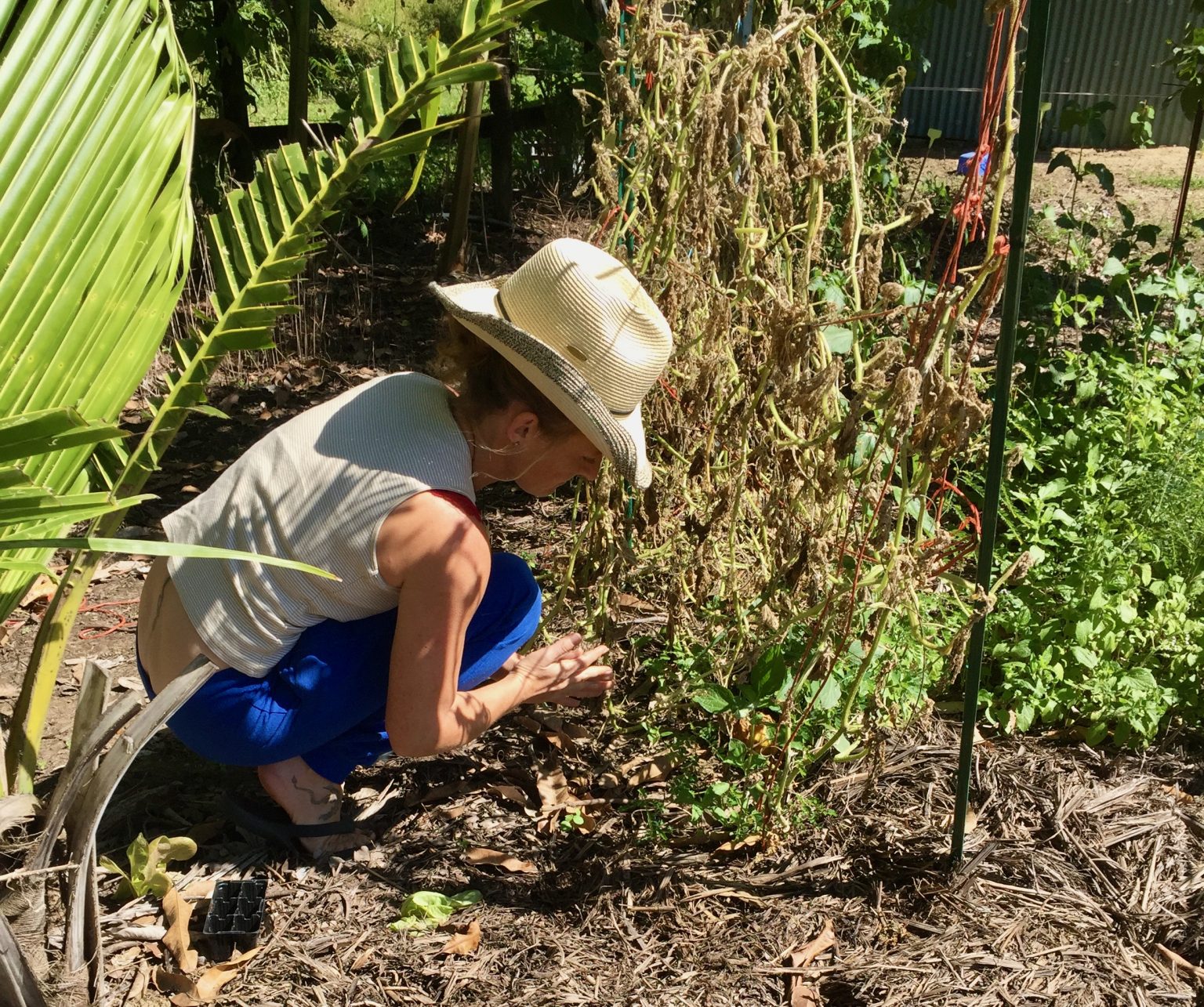 71 Practical Homesteading Skills and Ideas You Can Learn Today ...