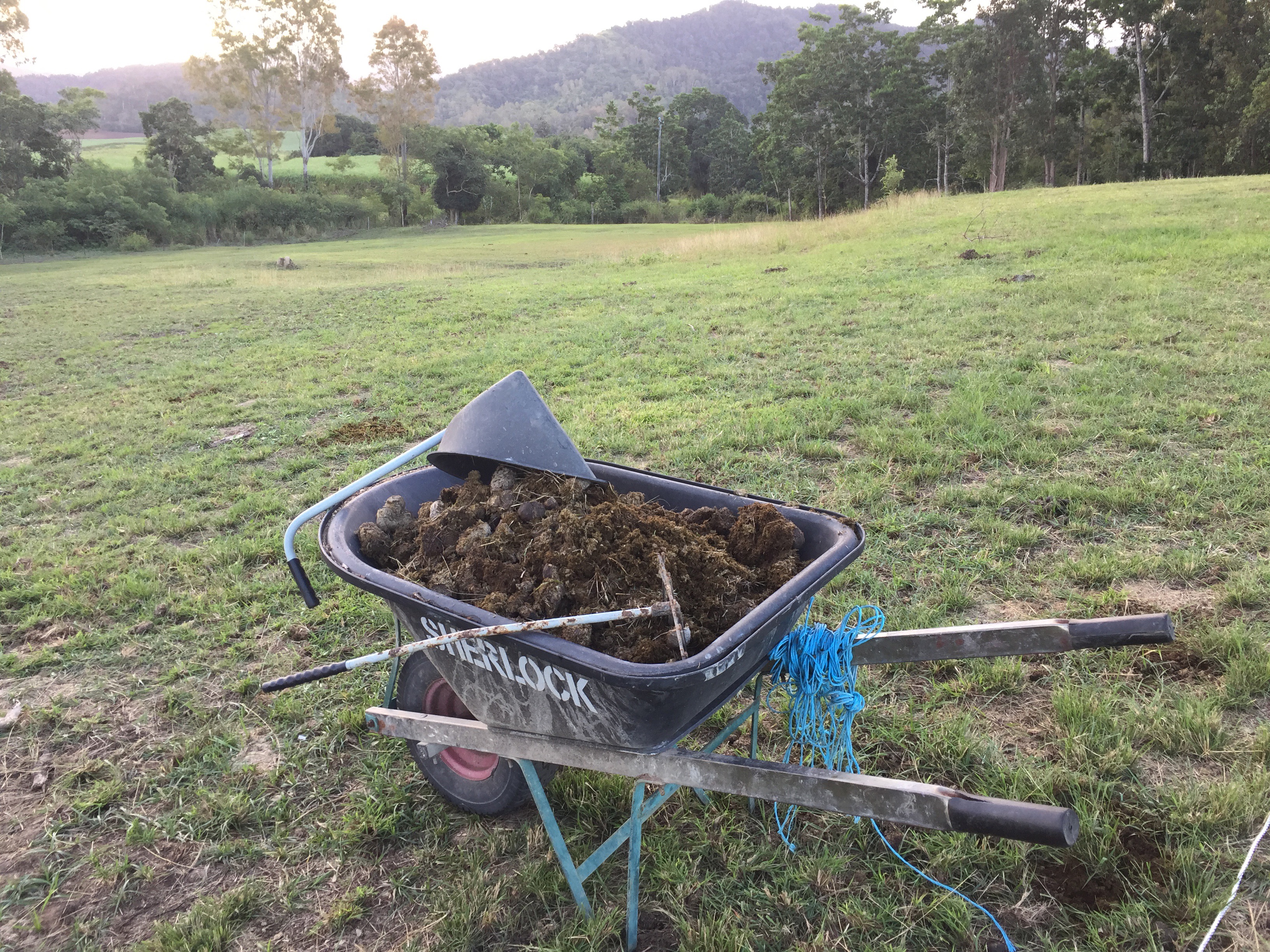 71 Practical Homesteading Skills and Ideas You Can Learn Today ...