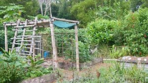 polyculture-farming-vs-monoculture