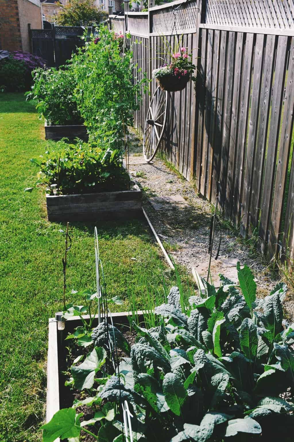 core-gardening-raised-garden-bed