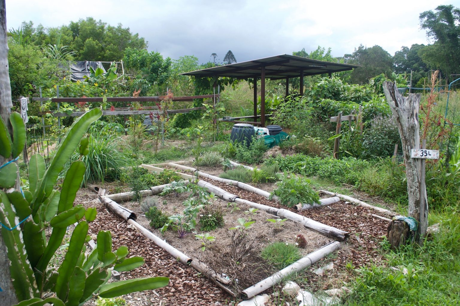 How To Live A Productive And Sustainable Permaculture Lifestyle