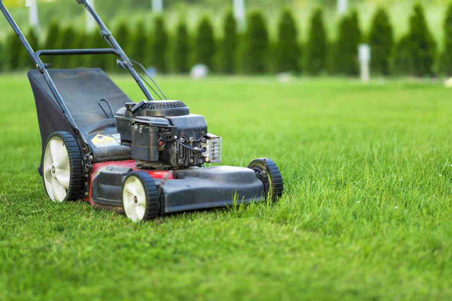 Best Lawn Mower Under 300 The Best Electric And Gas Lawn Mowers Under