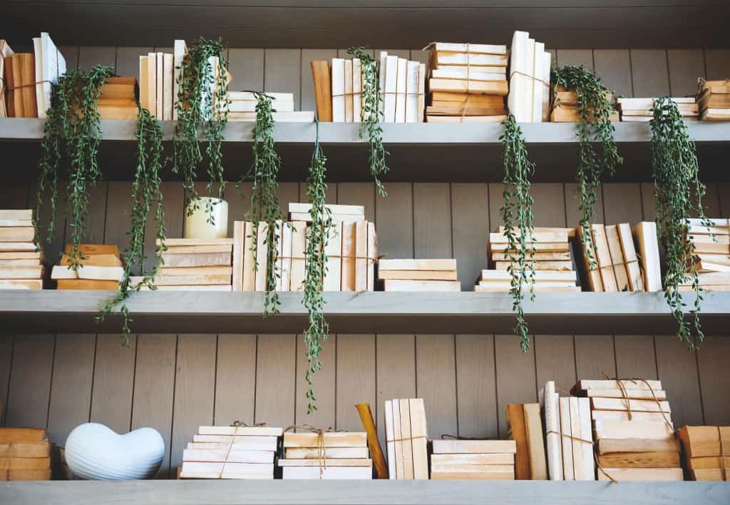 homesteading-books-on-a-shelf
