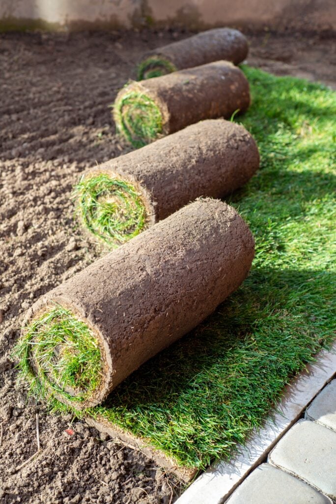 Roll of fresh sod grass planted on a newly landscaped lawn