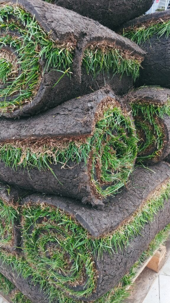 Stacks of rolled turf grass with soil, prepared for lawn installation. Fresh green sod rolls for landscaping, gardening and outdoor improvement projects.