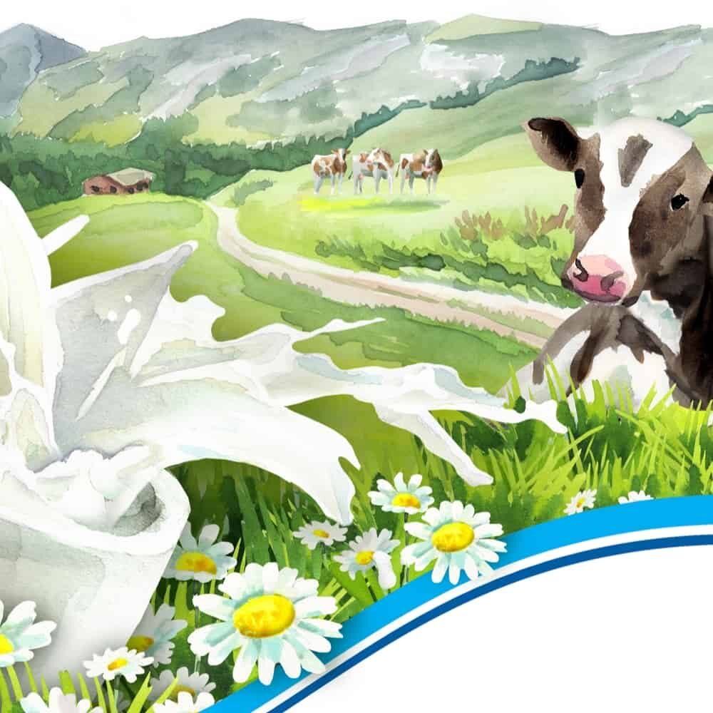 best-cow-for-milk-on-homestead