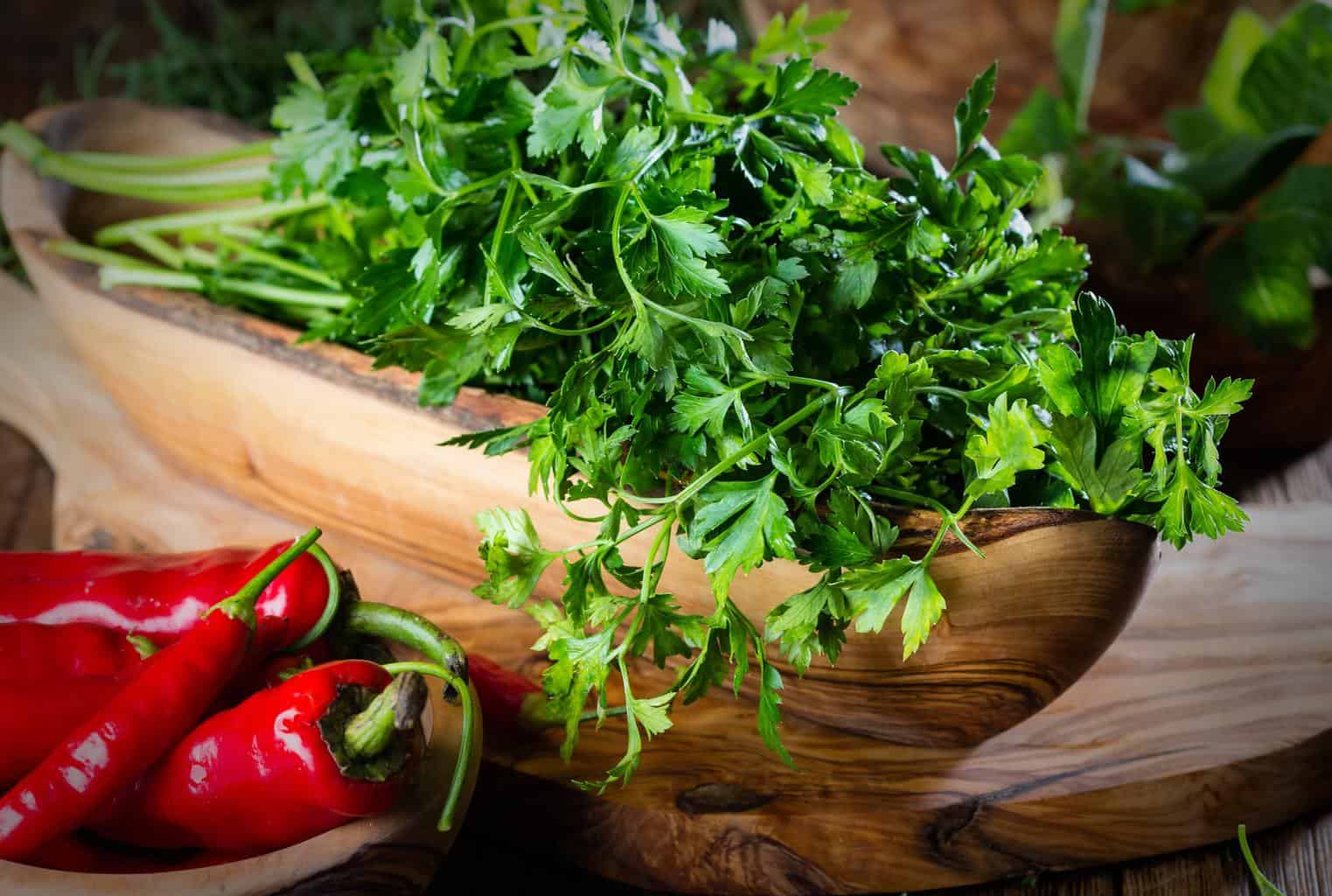Fresh-parsley-herb