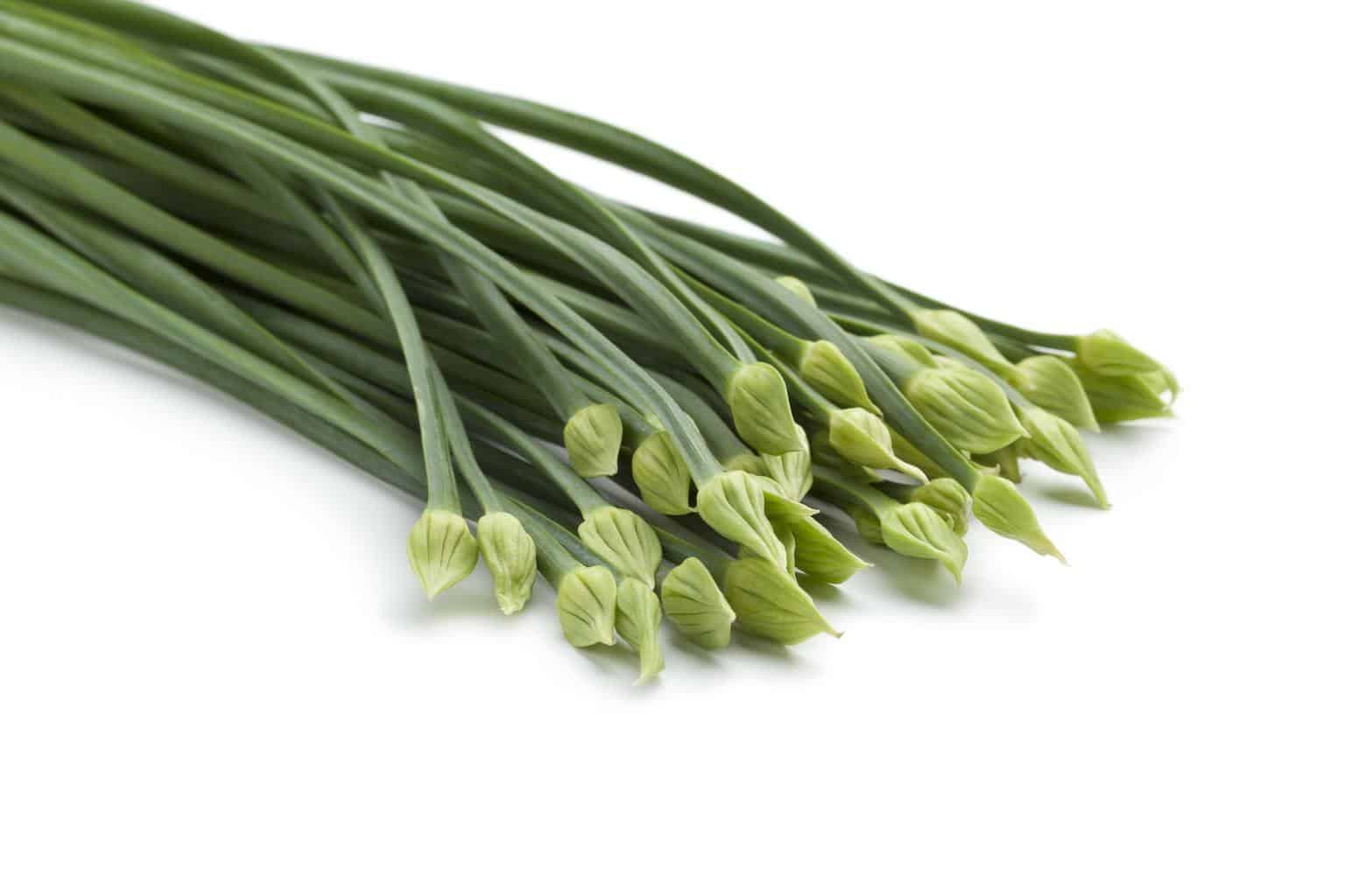 Garlic-chives