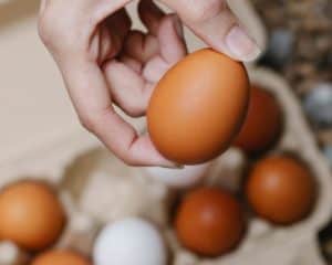 How Long Do Farm Fresh Eggs Last and How to Store Your Egg Bounty
