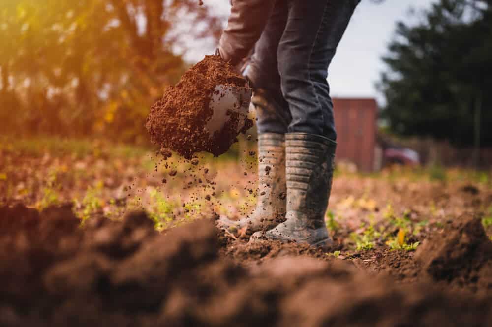 worker with muddy boots digging deep into the soil