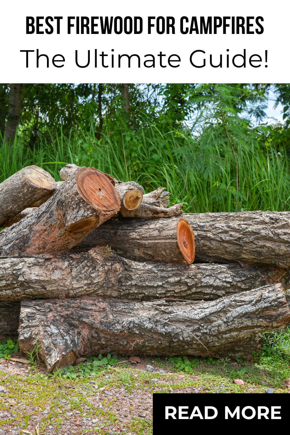 Best Wood for Campfire Guide! Oak vs. Hickory vs. Cedar, and More