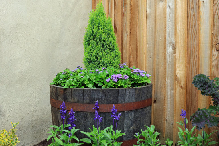 14 Pretty Whiskey Barrel Planter Ideas [+ How to Plant!] Outdoor