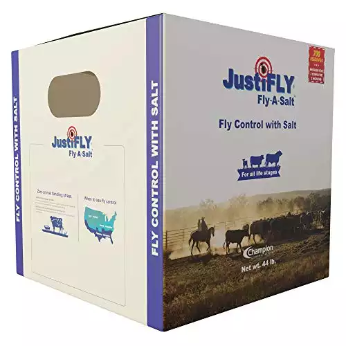 Best Way to Keep Flies Off Cattle From Zebra Stripes to PourOn