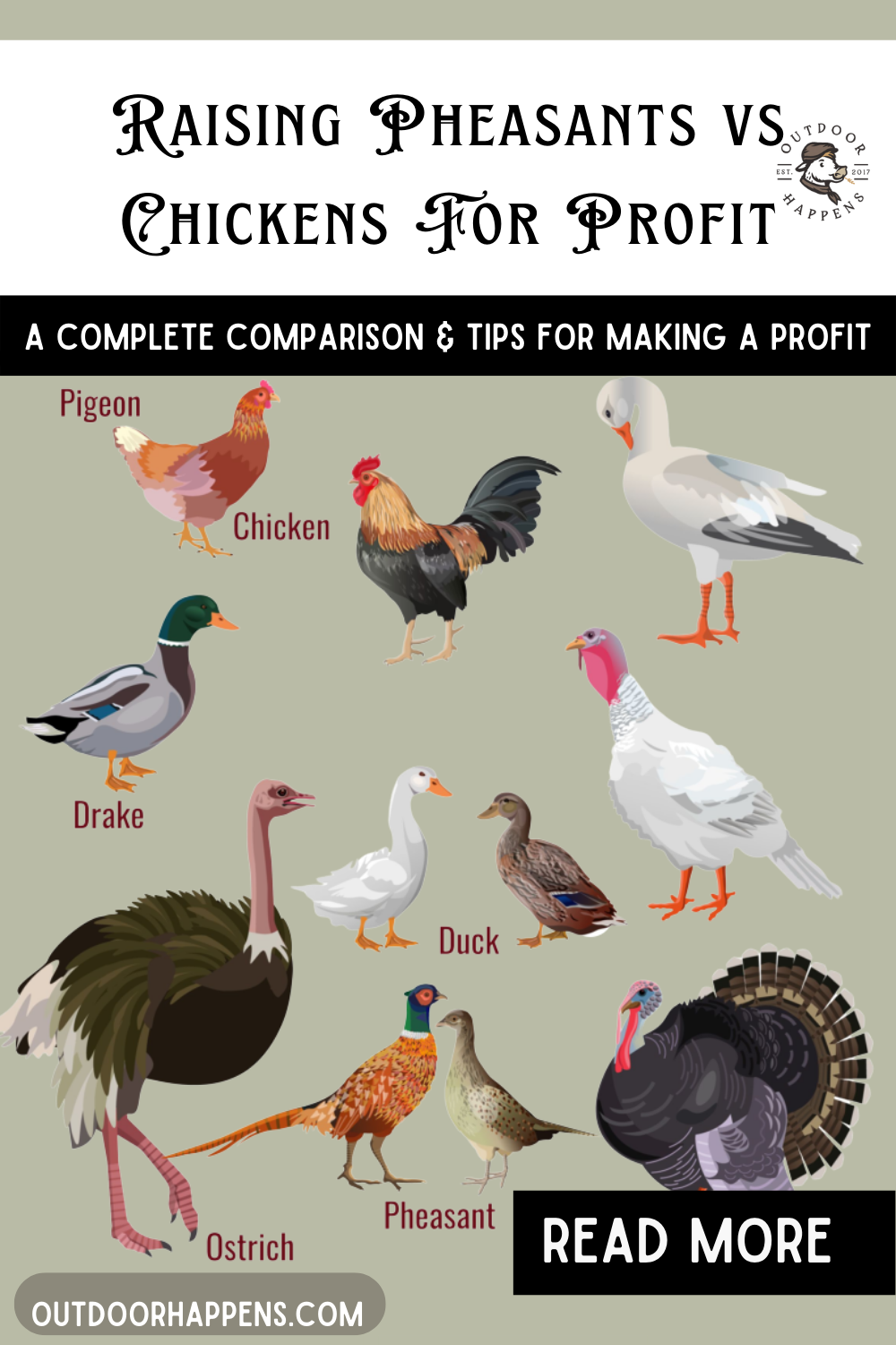 Raising Pheasants vs Chickens For Profit on Your Homestead Outdoor