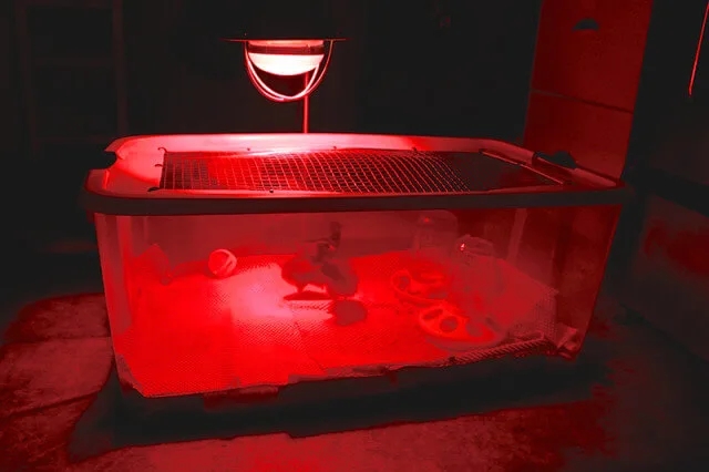 7 DIY Chick Brooder Designs ???? [Homemade, Free, and Easy]