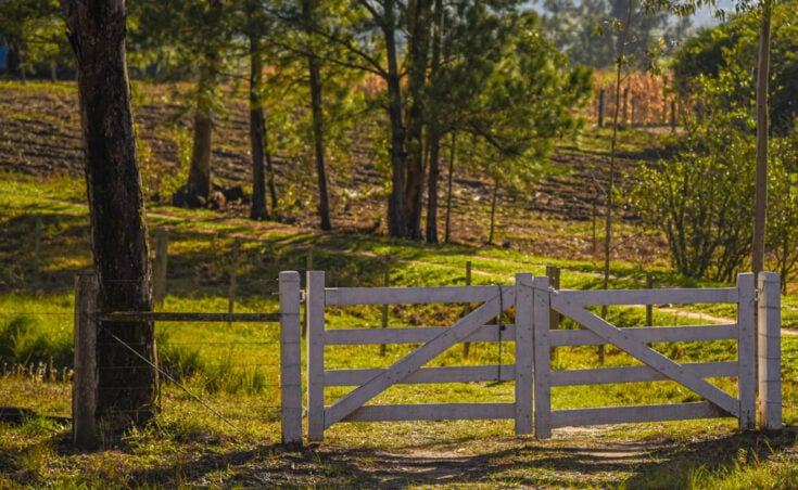 How to Build a Fence Gate That Won't Sag ???? [11 Easy Steps!]