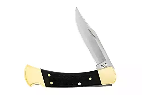 Buck Knives 110 Folding Hunter Lock-back Knife, Brass Bolsters, Ebony Handles, 3-3/4" 420HC Blade with Leather Sheath
