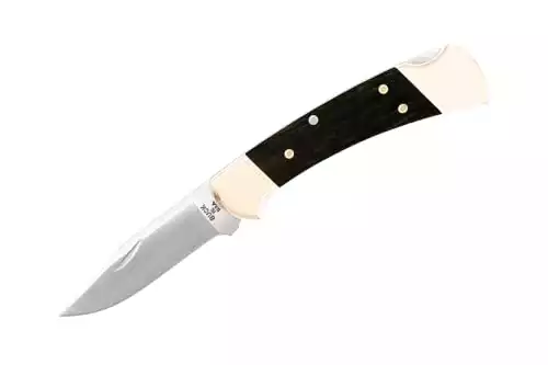 Buck Knives 112 Ranger Lock-back Knife, Brass Bolsters, Ebony Handles, 3" 420HC Blade with Leather Sheath