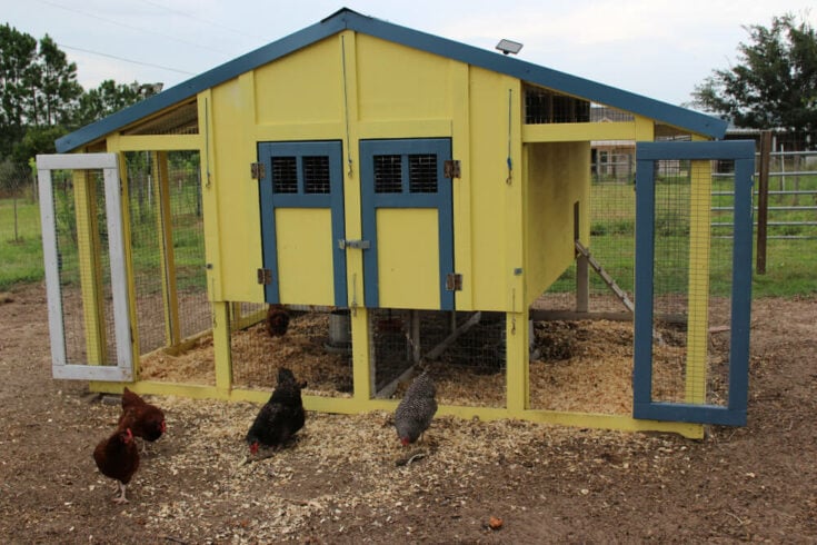 Image showcasing How to Build a Fox Proof Chicken Coop: A Step By Step Guide - Outdoor ...