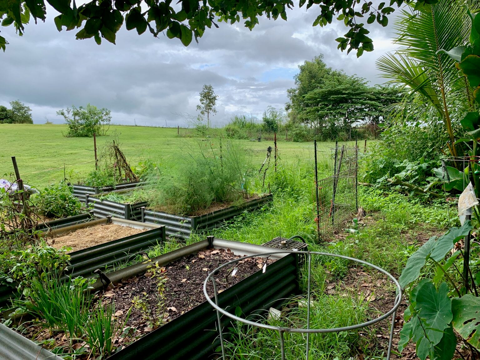 13 luxurious penthouses in Singapore with breathtaking views - Penthouse Apartment Off-Grid Community
