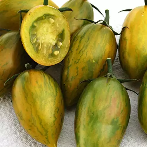 Seeds Green Tiger Tomato Heirloom Vegetable for Planting Non GMO | SeedsUA