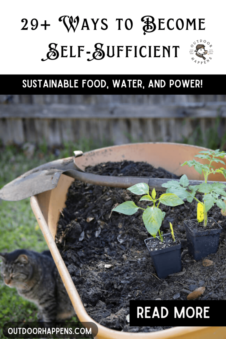 Photo inspiration: Fresh Look at 29 Practical Tips To Become More Self Sufficient