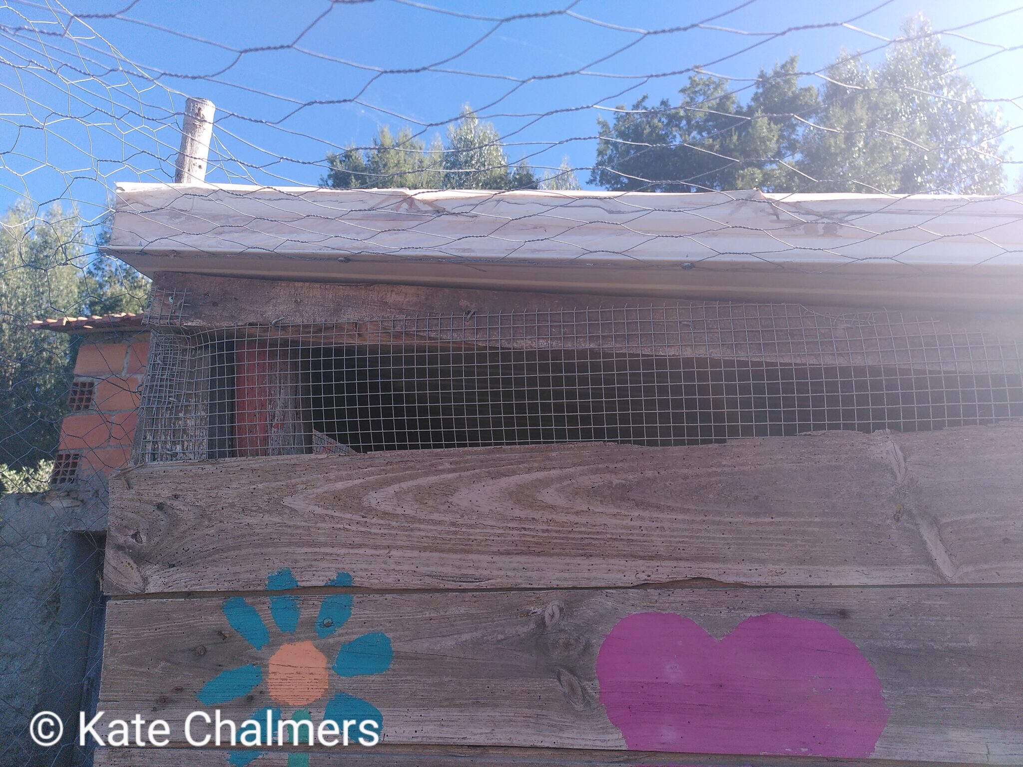 How to Build a Fox Proof Chicken Coop A Step By Step Guide Outdoor Happens Homestead