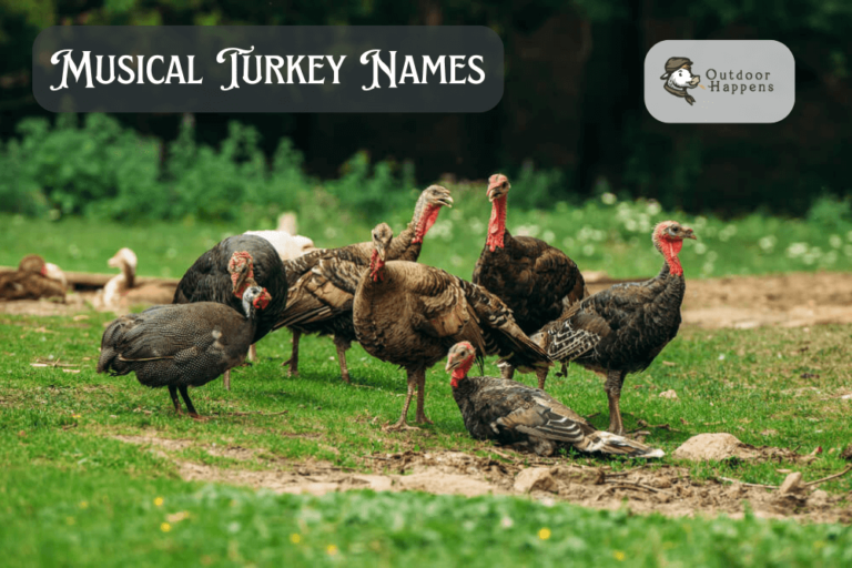Turkey Names: 429+ Fun, Cute, and Pardoned Ideas for Your Flock