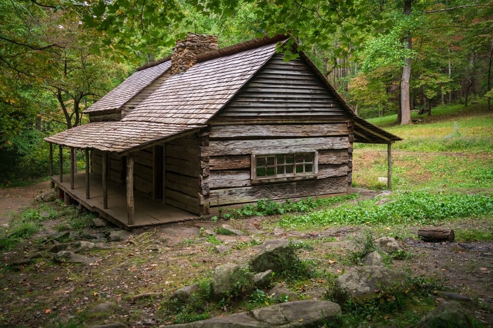 A rural cabin deep in the forest along a grassy meadow.