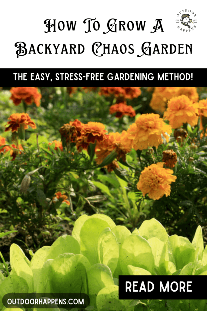 How to grow a backyard chaos garden.