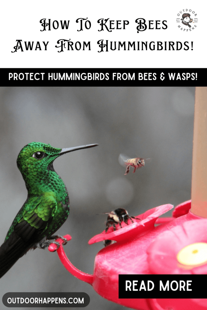 How to keep wasps bumblebees and hornets away from hummingbirds.
