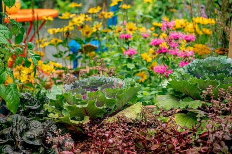 Permaculture chaos garden crammed with colorful flowers and crops.