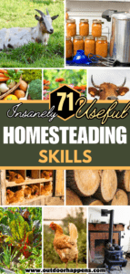 71 Practical Homesteading Skills and Ideas You Can Learn Today ...
