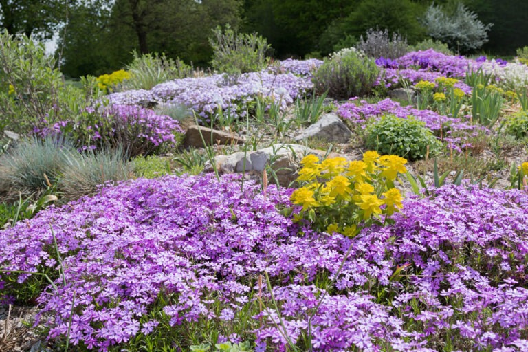 8 Ways To Support Native Bees And Pollinators In Your Backyard Garden ...