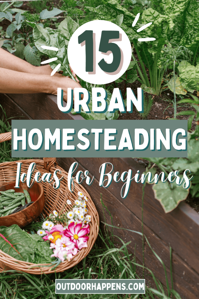 15 Easy and Cheap Urban Homesteading Ideas You Can Use Anywhere ...