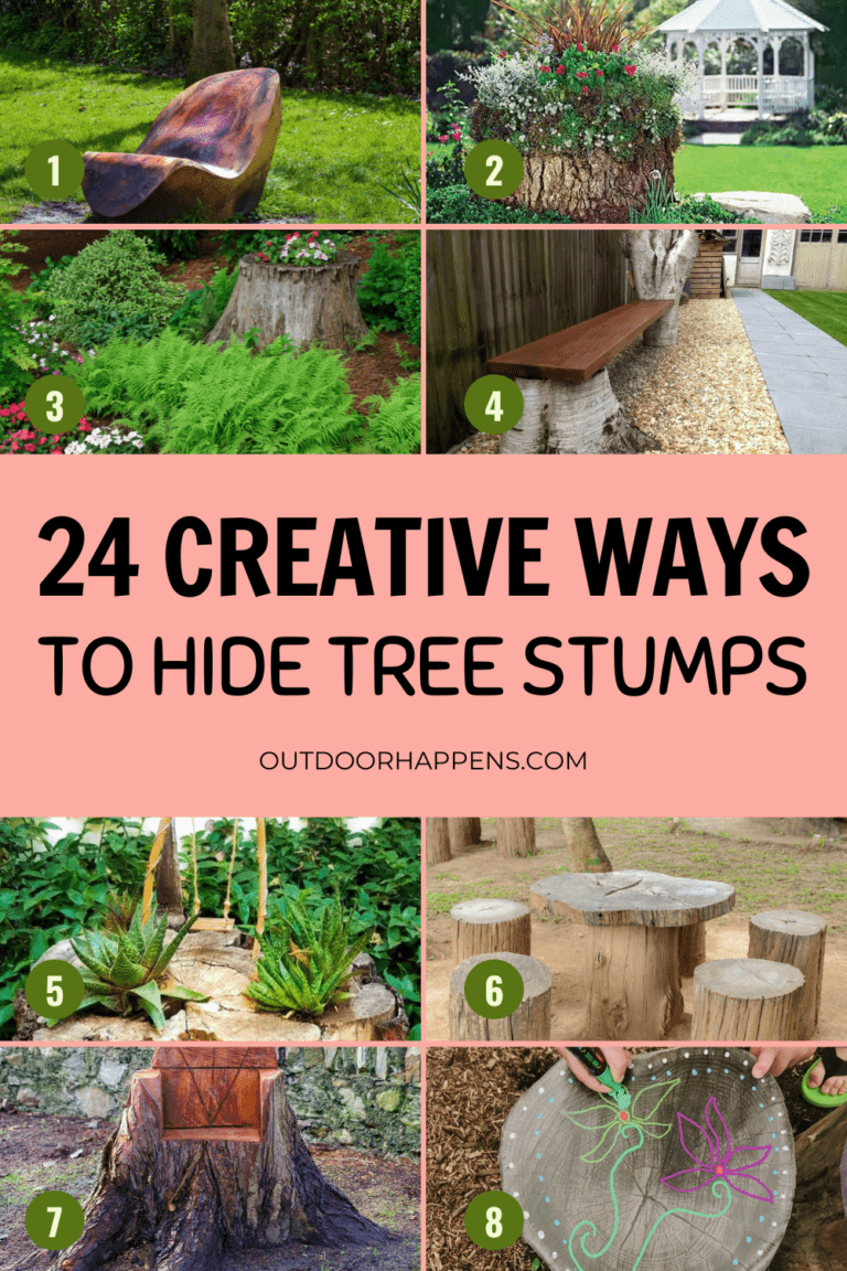 24 Creative Ways to Hide a Tree Stump In Your Garden