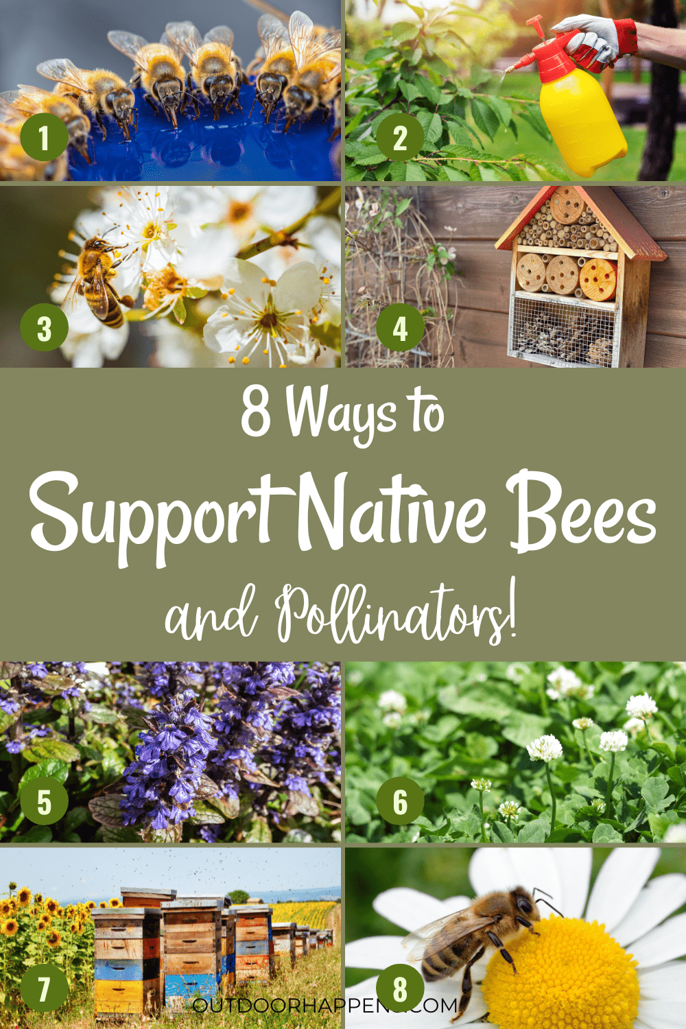 8 Ways To Support Native Bees And Pollinators In Your Backyard Garden ...