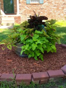 24 Creative Ways to Hide a Tree Stump In Your Garden
