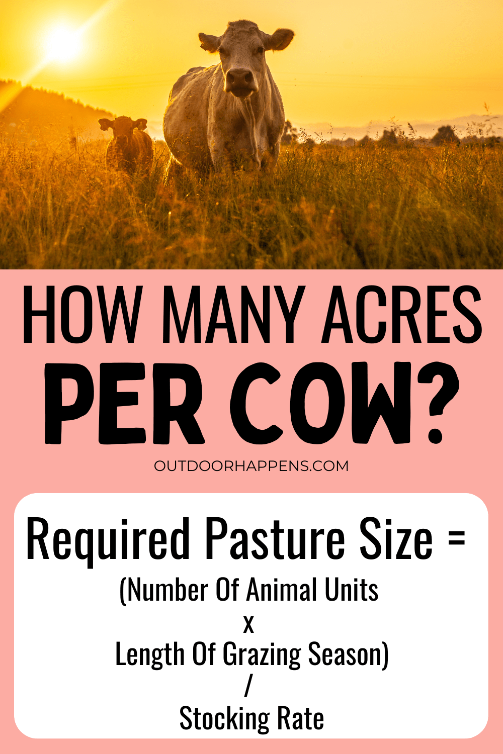 How Many Cows Per Acre Can You Keep In Your State? Outdoor Happens Homestead