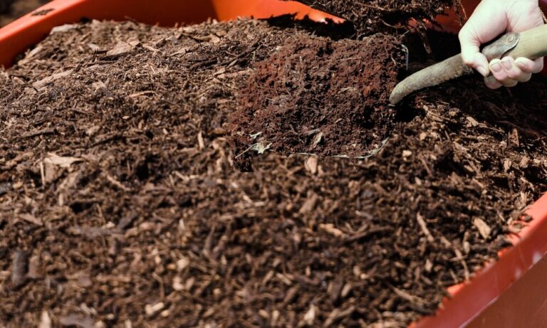 How to Speed Up Compost [16 Ways to Make Compost Fast!]