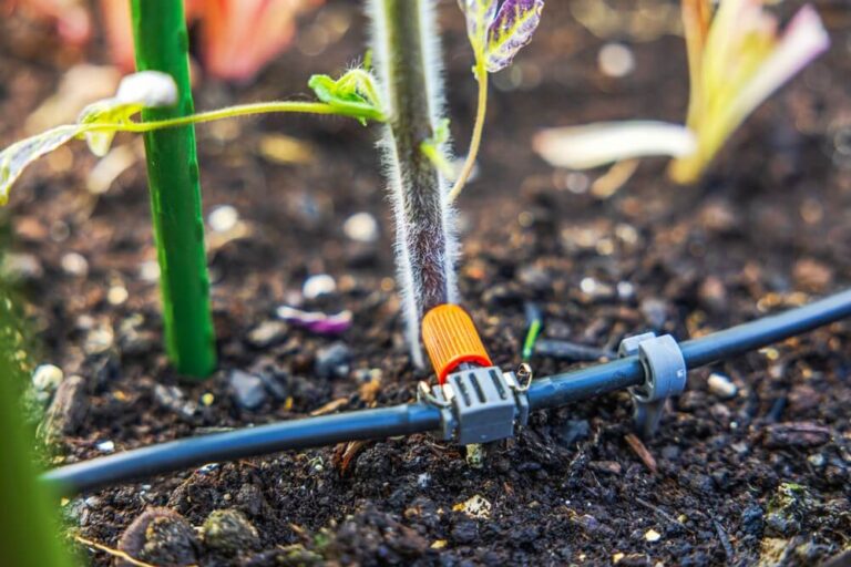 21 Fun Backyard DIY Projects For Thrifty Homesteaders On A Budget ...