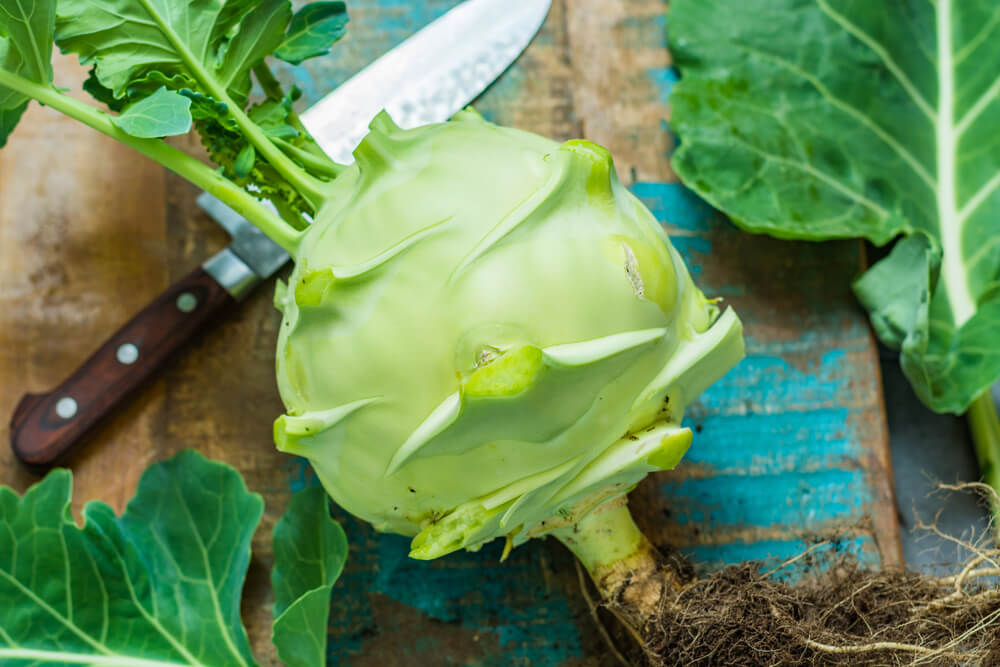A lovely green kohlrabi with leaves ready for eating.