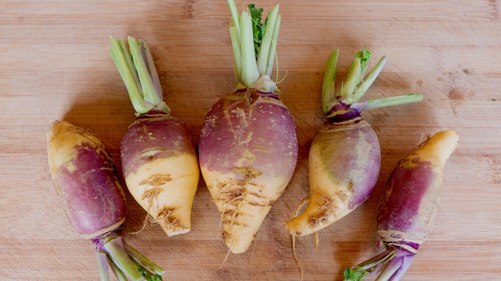 Lovely purple rutabagas on the cutting board.