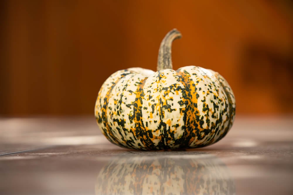 Beautiful and colorful sweet lightning pumpkin resting on a table.
