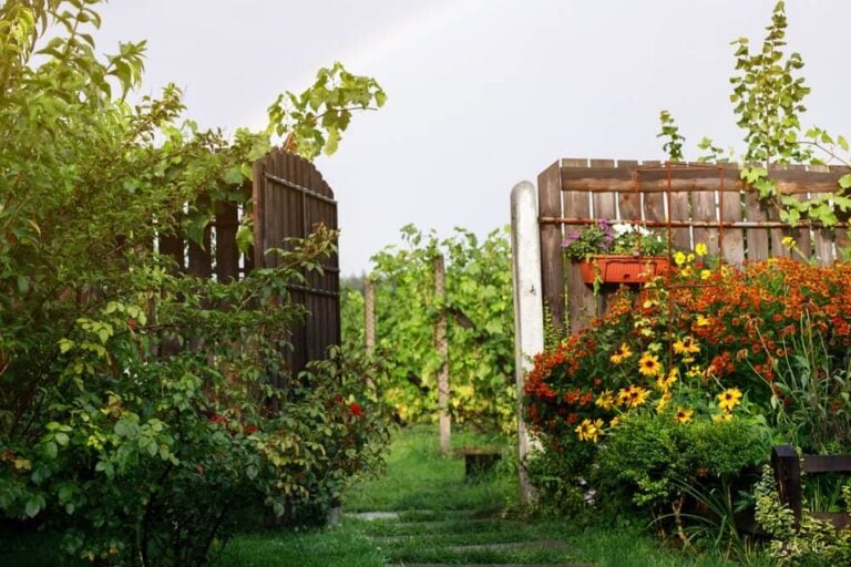 Beautiful garden design with authentic wooden gate entrance.