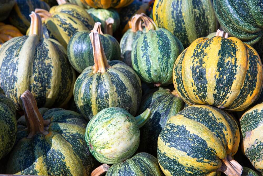 Colorful Kakai pumpkins with dark green stripes at a local seasonal market.