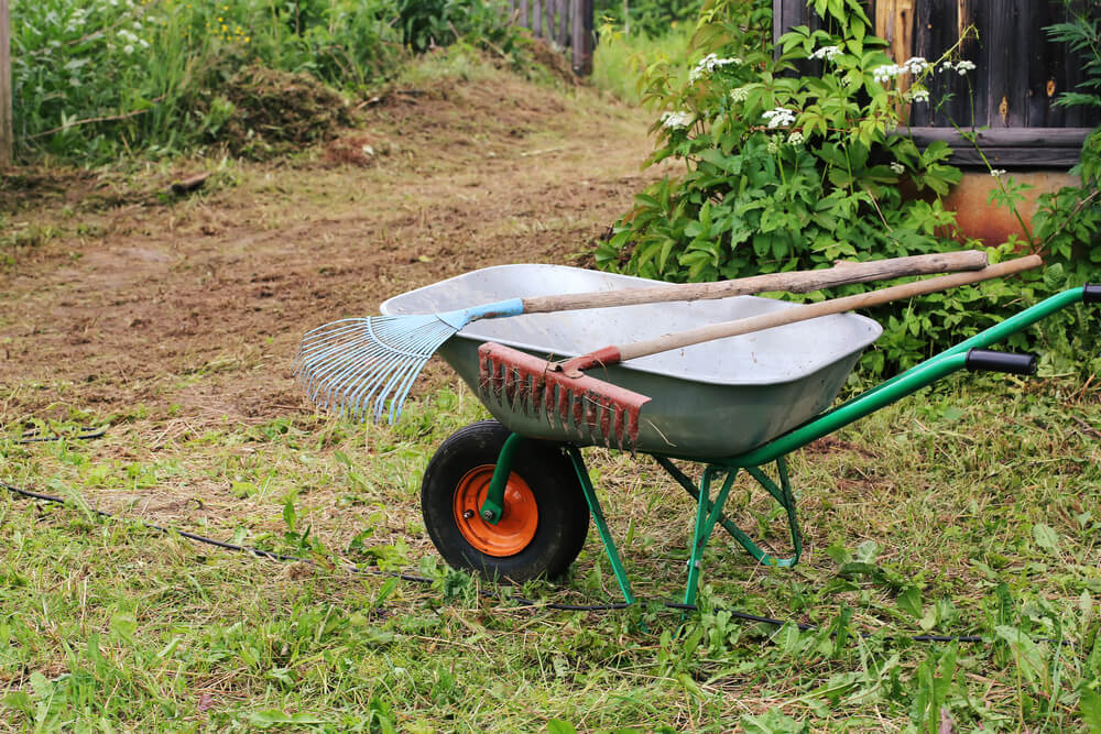 Garden tools in a wheelbarrow ready to rake the garden.
