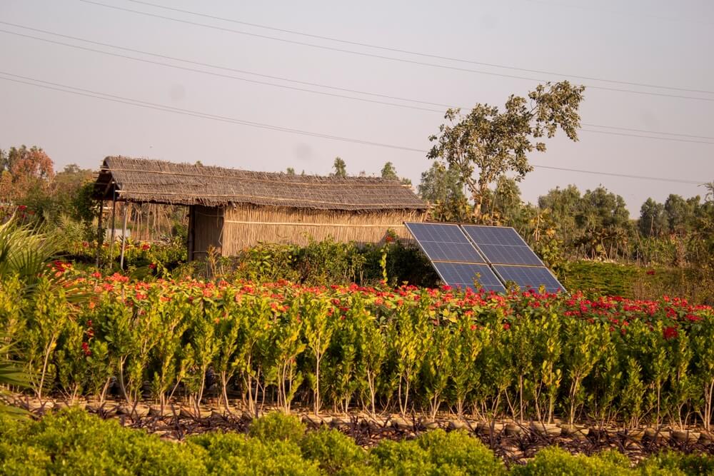 A beautiful flower field with a rural farmyard hut and solar panels.